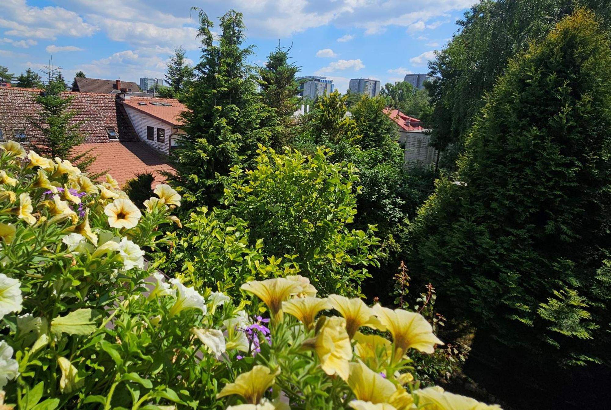 Park Apartment Cracovia Esterno foto